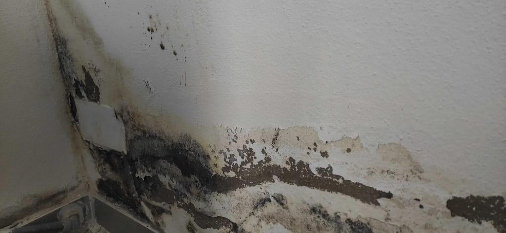 Humedad en las paredes consejos para eliminarlas