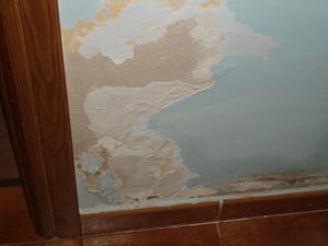 Humedad capilar en casa planta baja