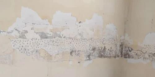 humedad filtraciones