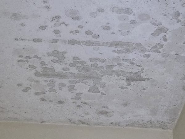 comprobar-humedad-galeria-010