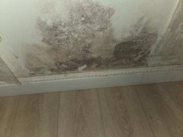 humedad condensacion (3)