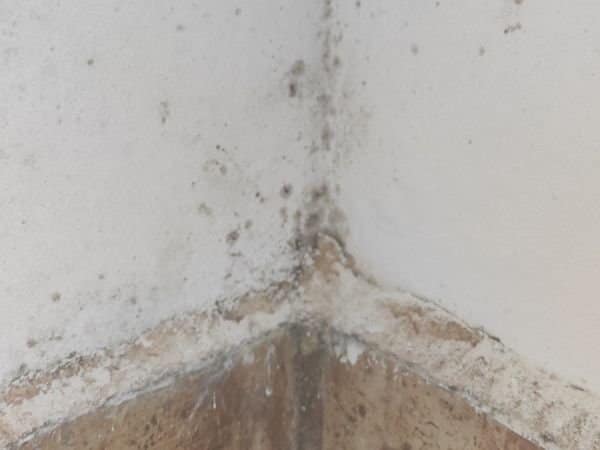 todohumedad condansiacion almeria