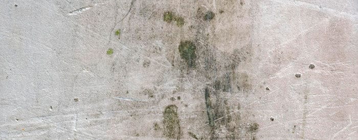 humedad-pared